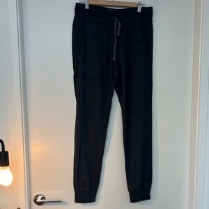 Icebreaker Gray Jogger Pants